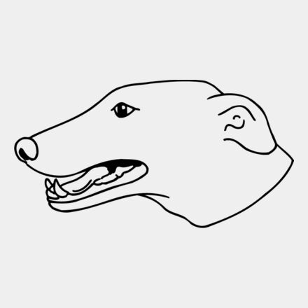 DOG077 Thumbnail