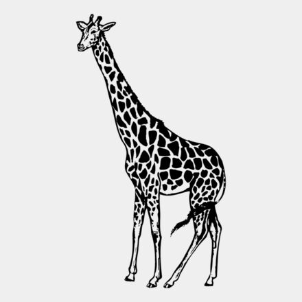GIRAFF01 Thumbnail