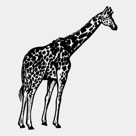 GIRAFF02 Thumbnail