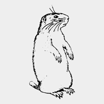 GOPHER01 Thumbnail