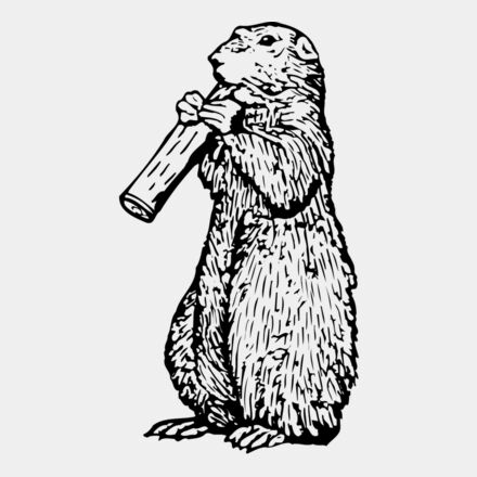 GOPHER02 Thumbnail
