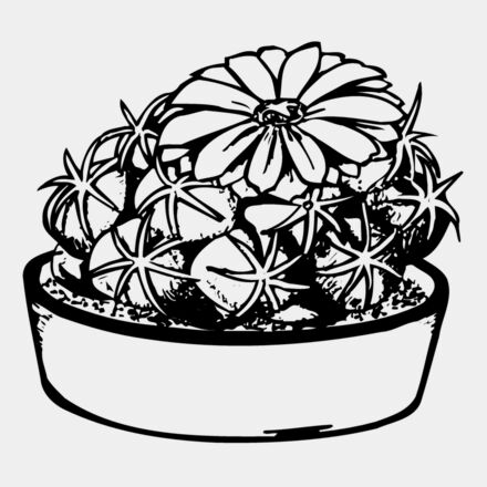 CACTUS02 Thumbnail