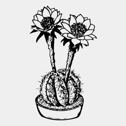 CACTUS03 Thumbnail