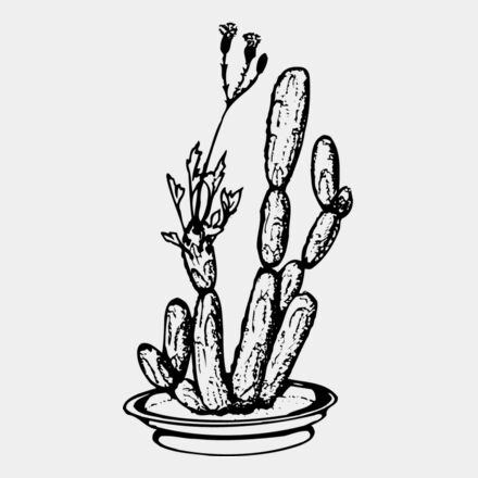 CACTUS08 Thumbnail