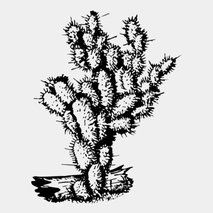 CACTUS09 Thumbnail