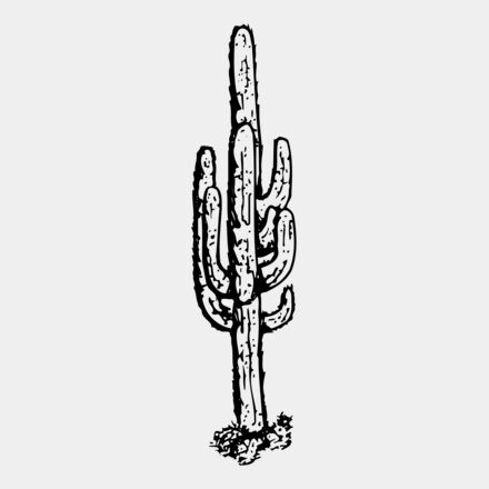 CACTUS12 Thumbnail