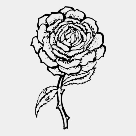 FLOWER05 Thumbnail