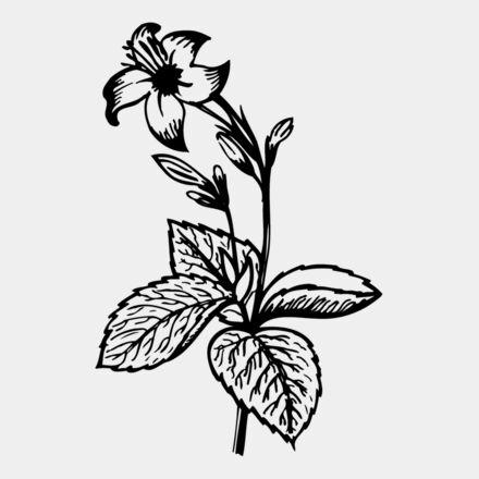 FLOWER06 Thumbnail