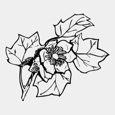 FLOWER09 Thumbnail