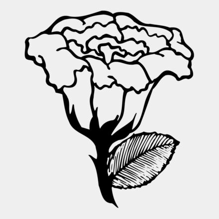 FLOWER10 Thumbnail