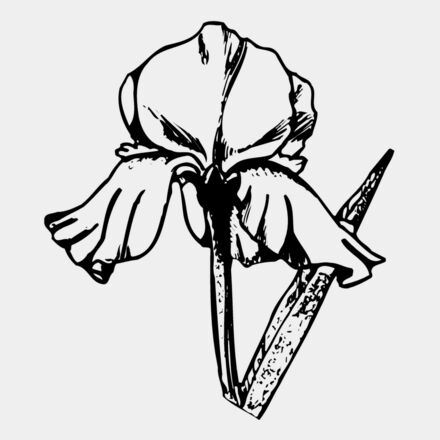 FLOWER11 Thumbnail