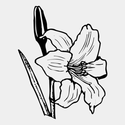 FLOWER12 Thumbnail