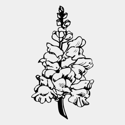 FLOWER14 Thumbnail