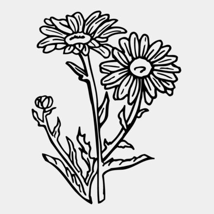 FLOWER17 Thumbnail
