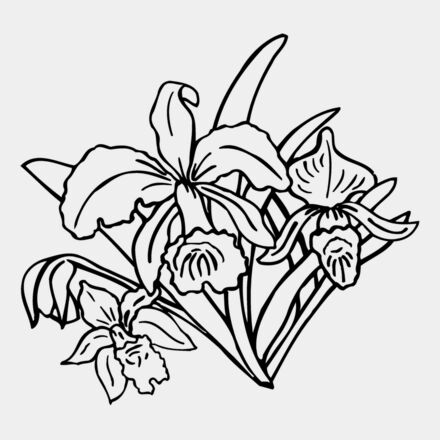 FLOWER18 Thumbnail