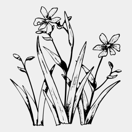 FLOWER19 Thumbnail