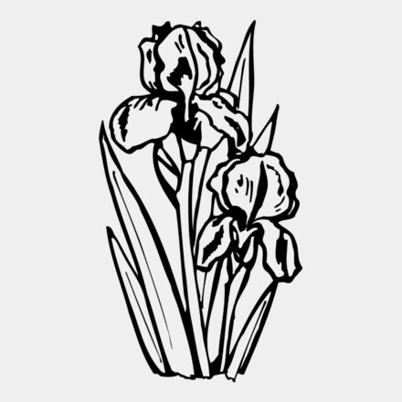FLOWER20 Thumbnail