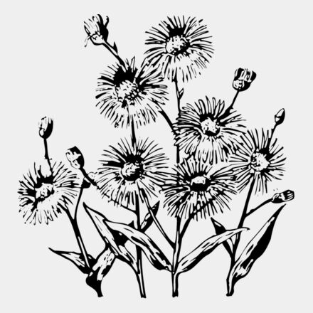 FLOWER22 Thumbnail