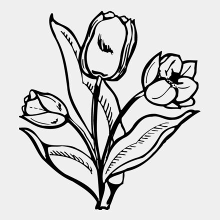 FLOWER24 Thumbnail