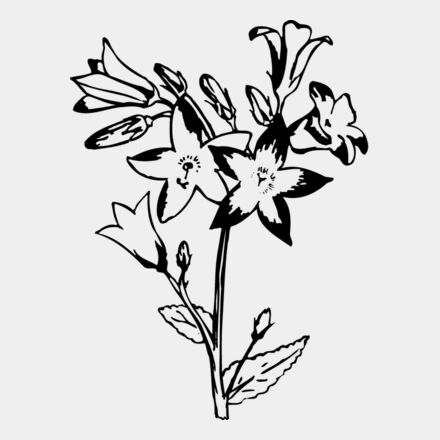 FLOWER25 Thumbnail