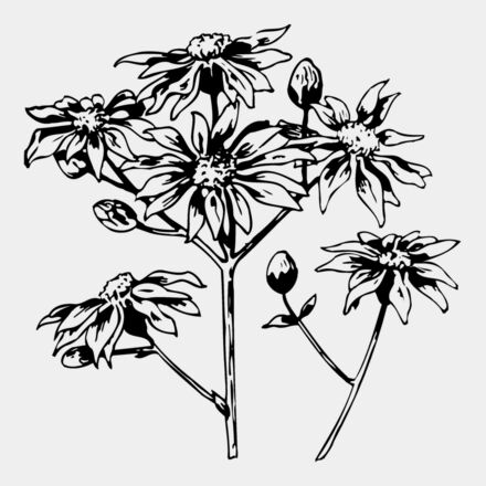 FLOWER28 Thumbnail