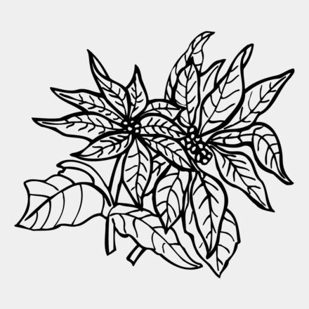 FLOWER29 Thumbnail