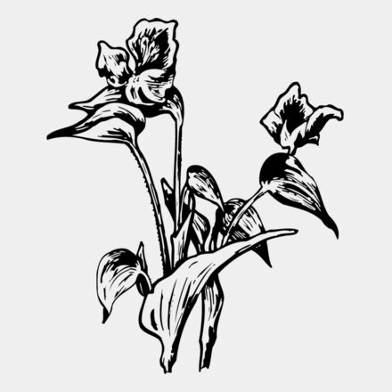 FLOWER30 Thumbnail