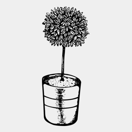 PLANT01 Thumbnail