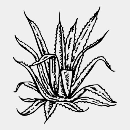 PLANT02 Thumbnail