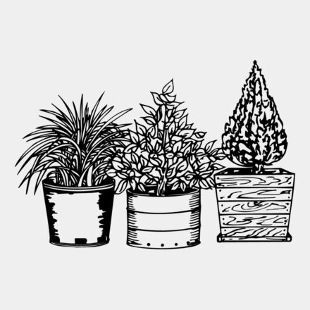 PLANT03 Thumbnail