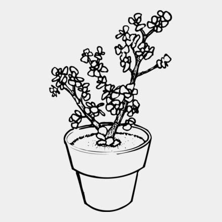 PLANT05 Thumbnail