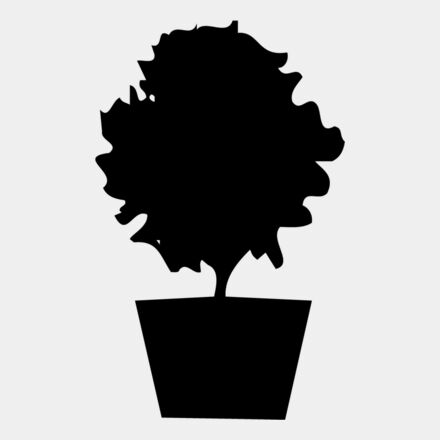 PLANT06 Thumbnail