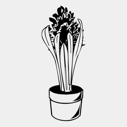 PLANT07 Thumbnail