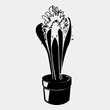 PLANT08 Thumbnail