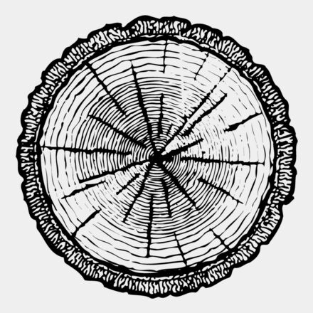 TIMBER04 Thumbnail