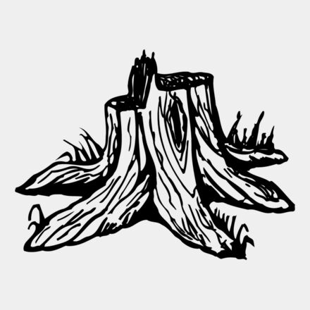 TIMBER09 Thumbnail