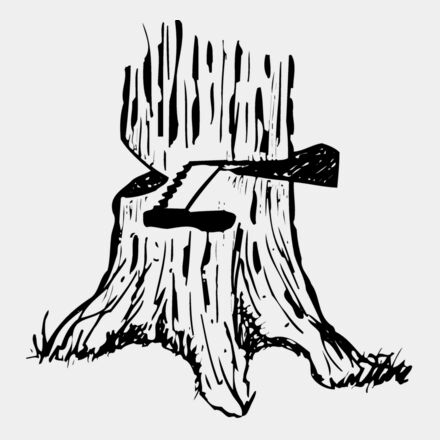 TIMBER13 Thumbnail