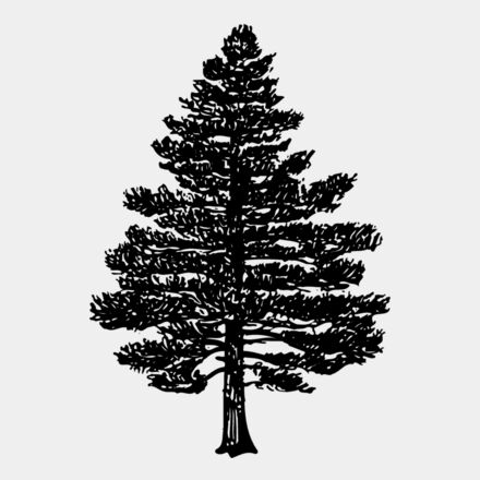 TREE0003 Thumbnail