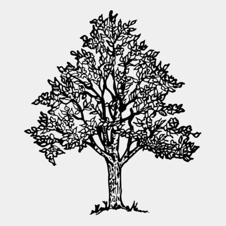 TREE0004 Thumbnail