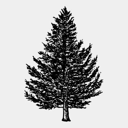 TREE0005 Thumbnail