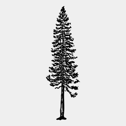 TREE0006 Thumbnail