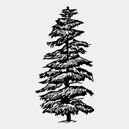 TREE0007 Thumbnail