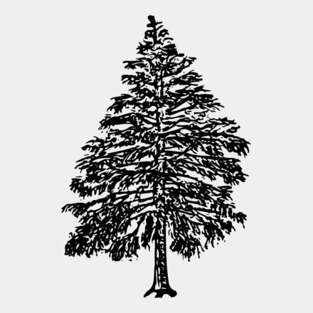 TREE0009 Thumbnail