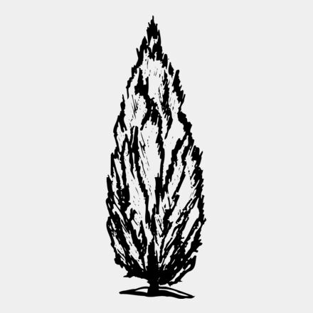 TREE0010 Thumbnail