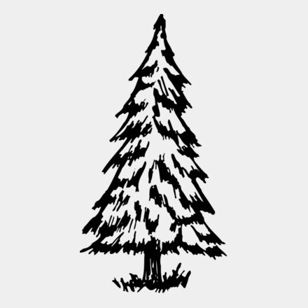 TREE0011 Thumbnail