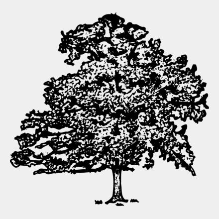 TREE0013 Thumbnail