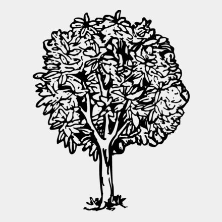 TREE0014 Thumbnail