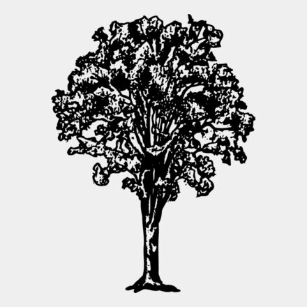 TREE0015 Thumbnail