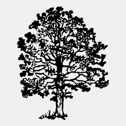 TREE0016 Thumbnail