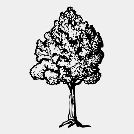 TREE0017 Thumbnail